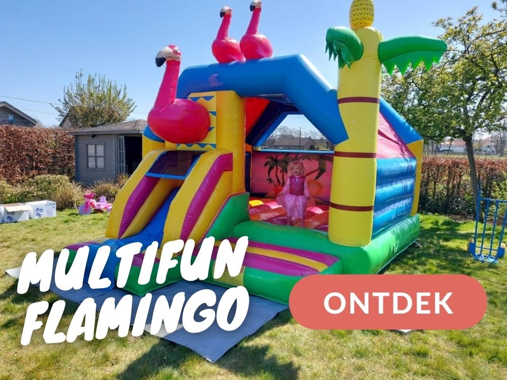 Multifun Flamingo