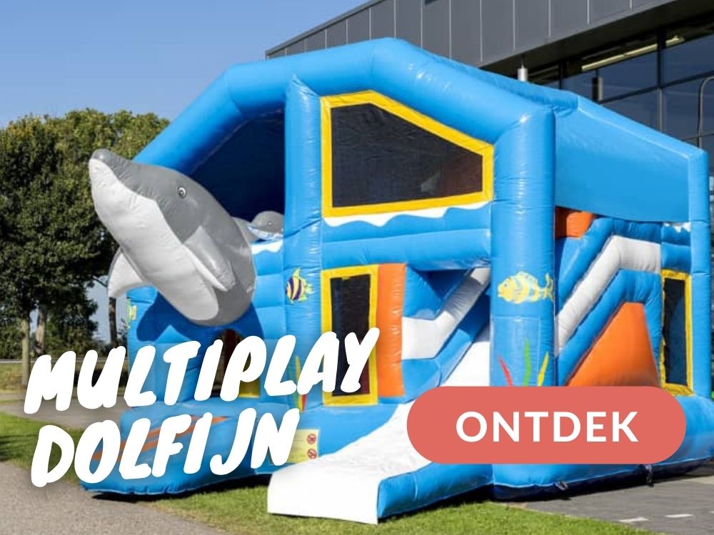 Multiplay Dolfijn