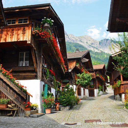 Wooden houses with flowers and mountains in Brienz