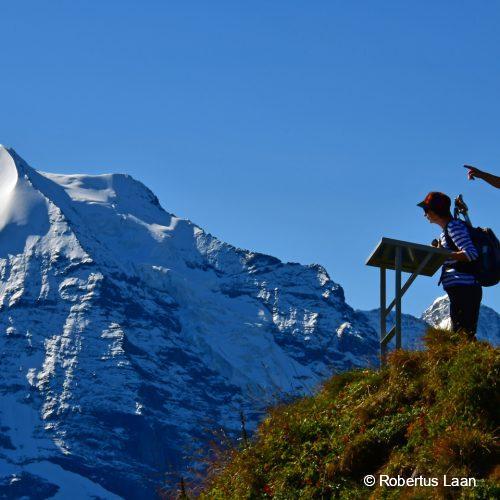 viewpoint glaciated mountain