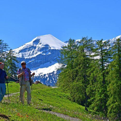 Hikers in summer