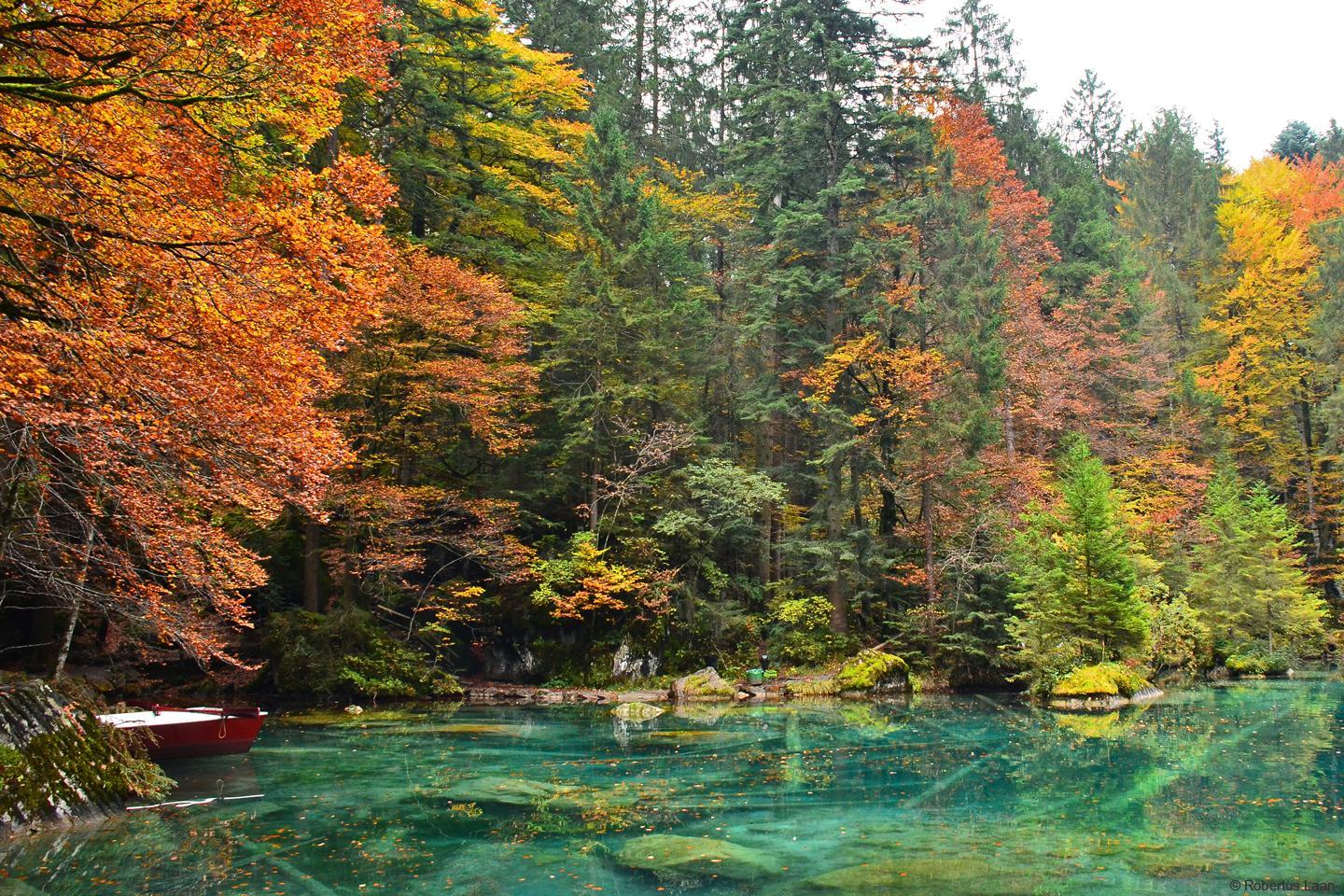 The crystal clear bluish water of the Blausee