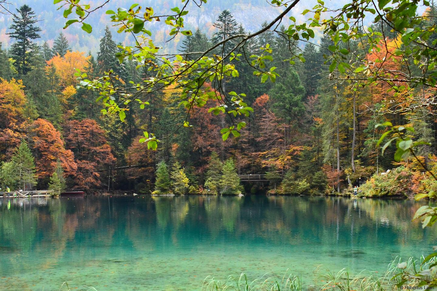 Blausee - The small lake with crystal clear water and trouts