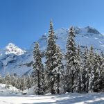 Near Lake Oeschinen above Kandersteg