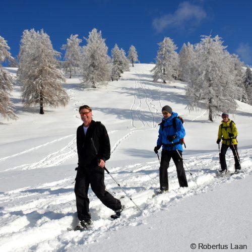 Snowshoeing through winters' paradise near Interlaken