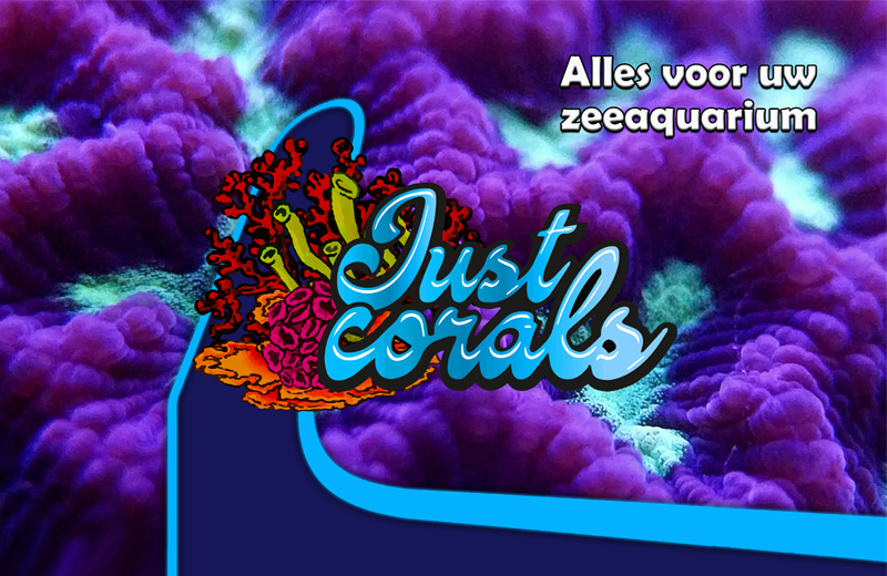 JustCorals