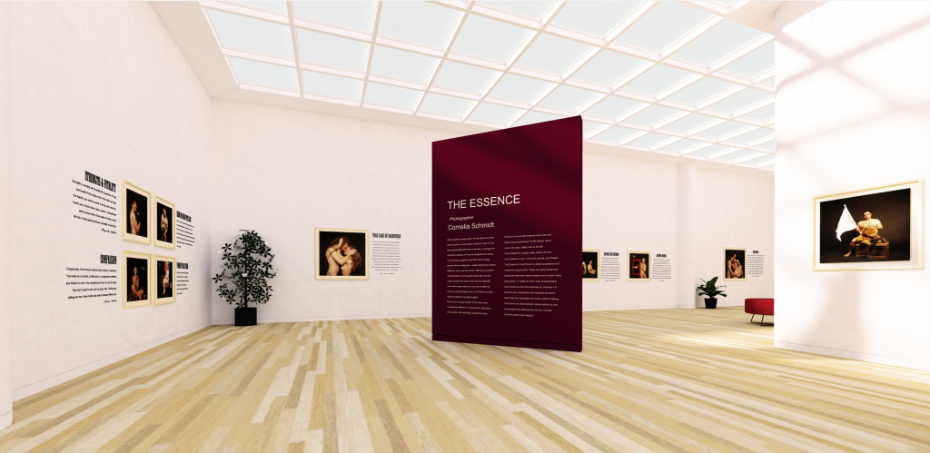 Screenshot 3d exhibition THE ESSENDE