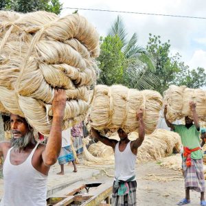 web-jute-farmers-govt-fund-dhaka-tribune-16-07-2018-1531750959875