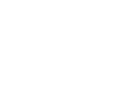 bi_logo_apo