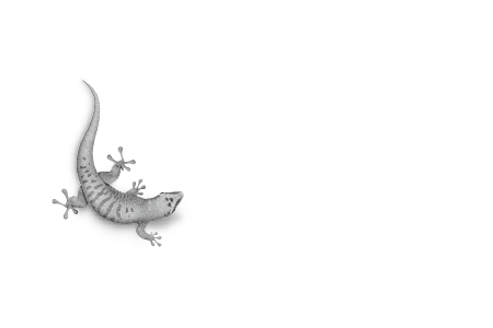 bi_logo_bostik