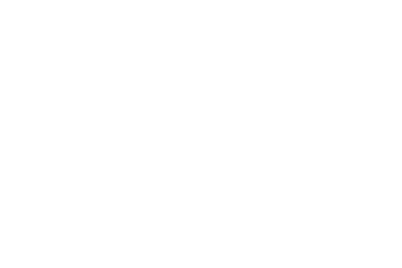 bi_logo_haspa