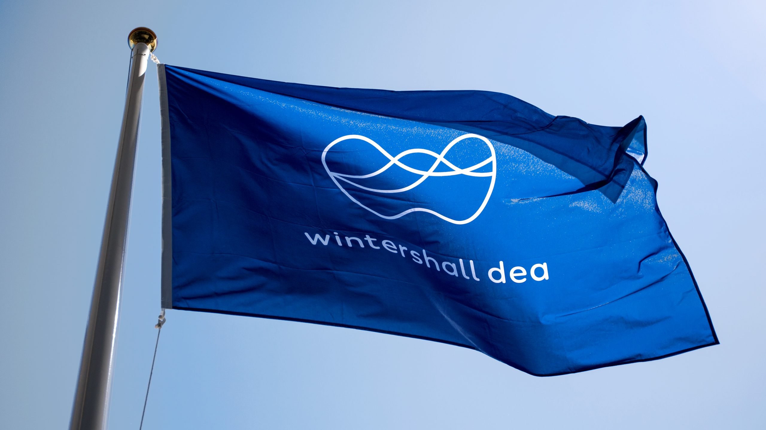 wd_flag