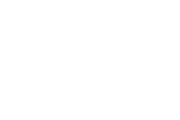bi_logo_erste2