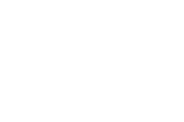 bi_logo_kpmg