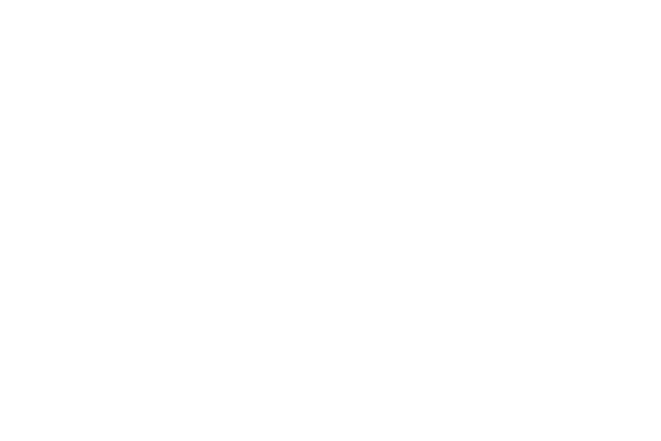 bi_logo_max