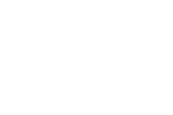 bi_logo_sixt2