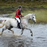 DSC_0791-2_496x330