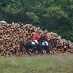 Kompedal_rene_1_498x280