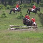 Kompedal_rene_8_498x280