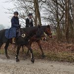 oplus_1048578