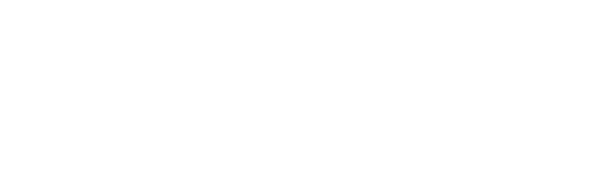 K9 Nannestad Dyreklinikk logo