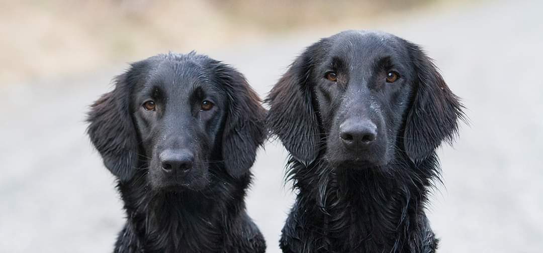 FB_IMG_1581961333985