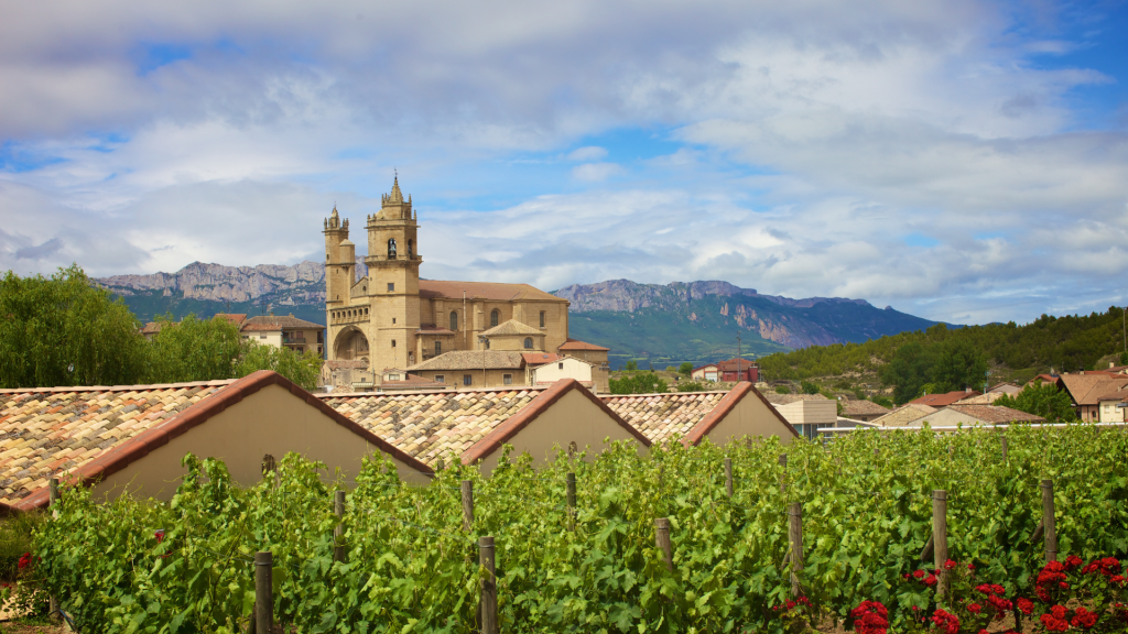 Flot spansk landskab med Rioja vin