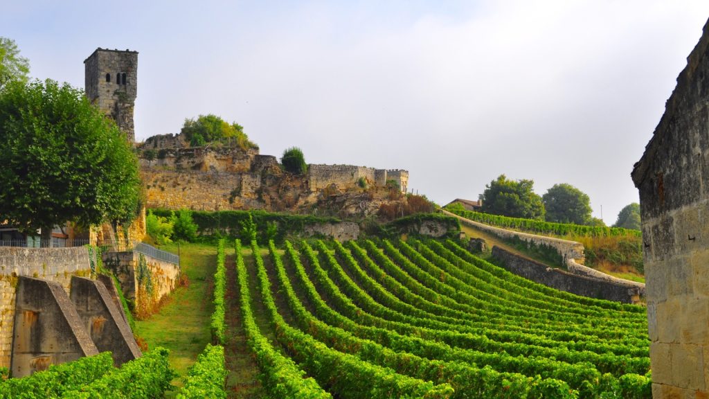 Franske vinmarker