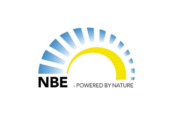 NBE logo