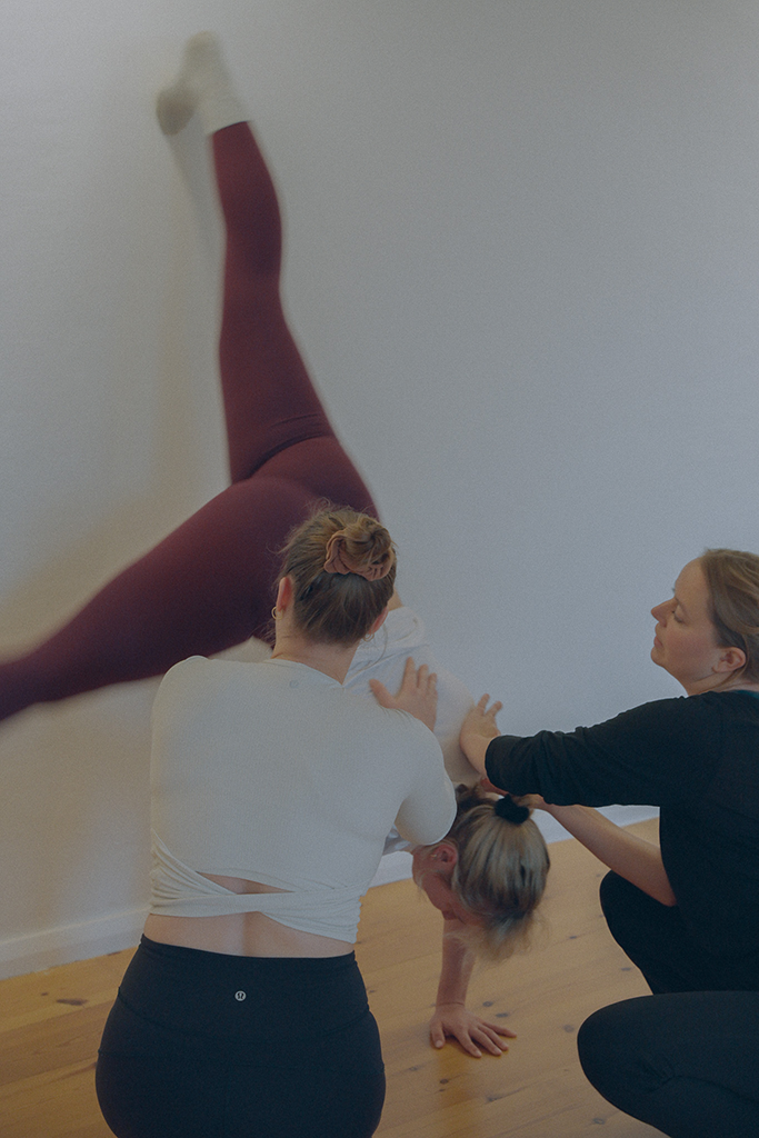 HANDSTAND CLASSES 1 handstand 3
