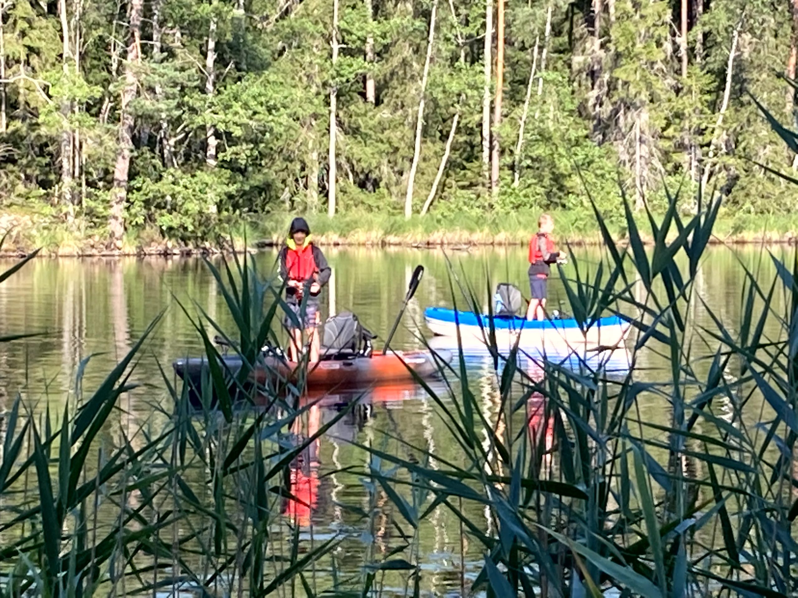 Barn i Kajak, Javisst!