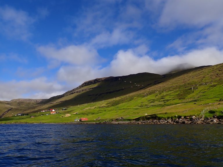 Faroe Islands Birds
