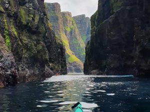 Bird Cliffs