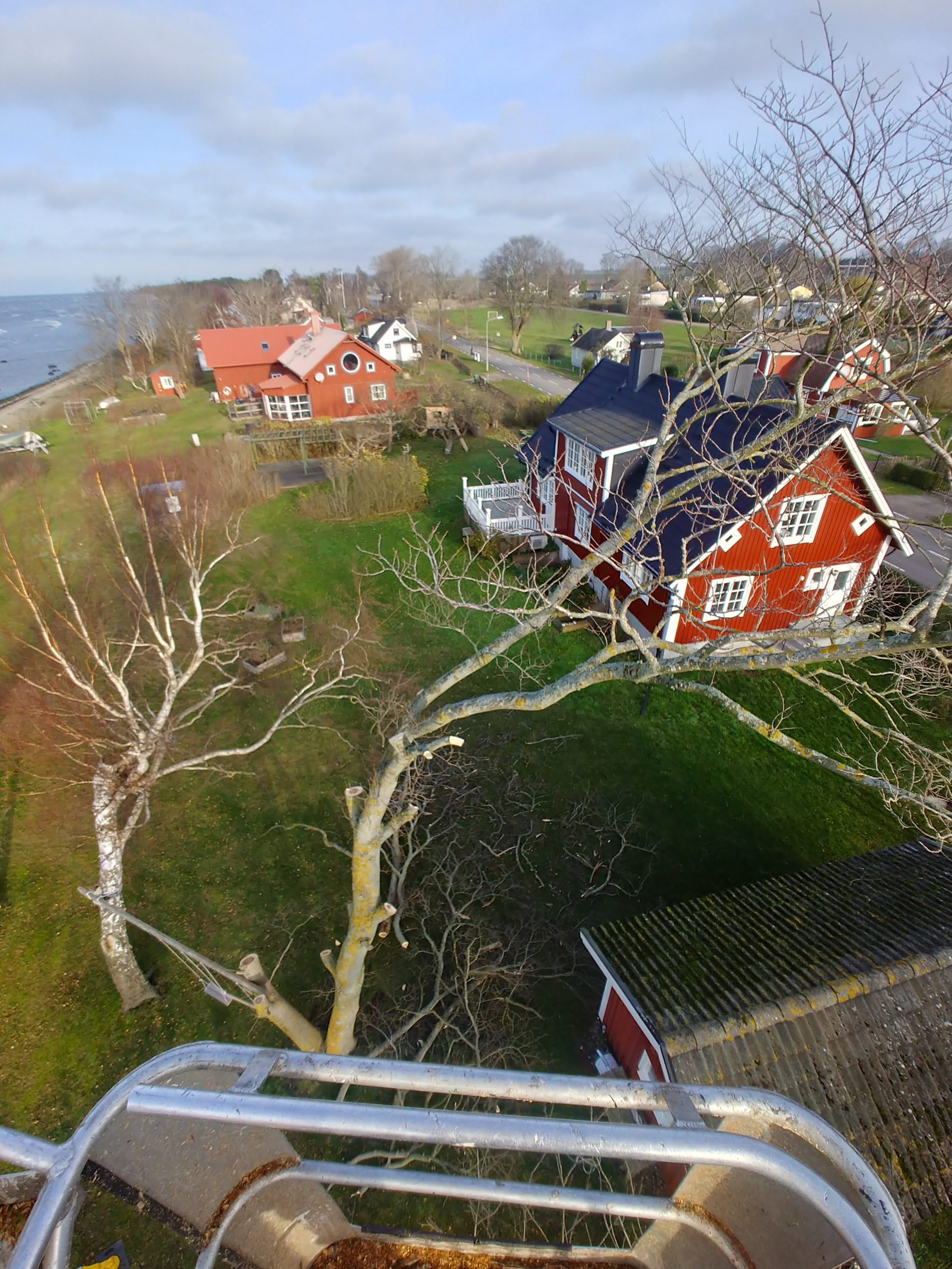 Trädfällning från skylift på Öland Kalmar