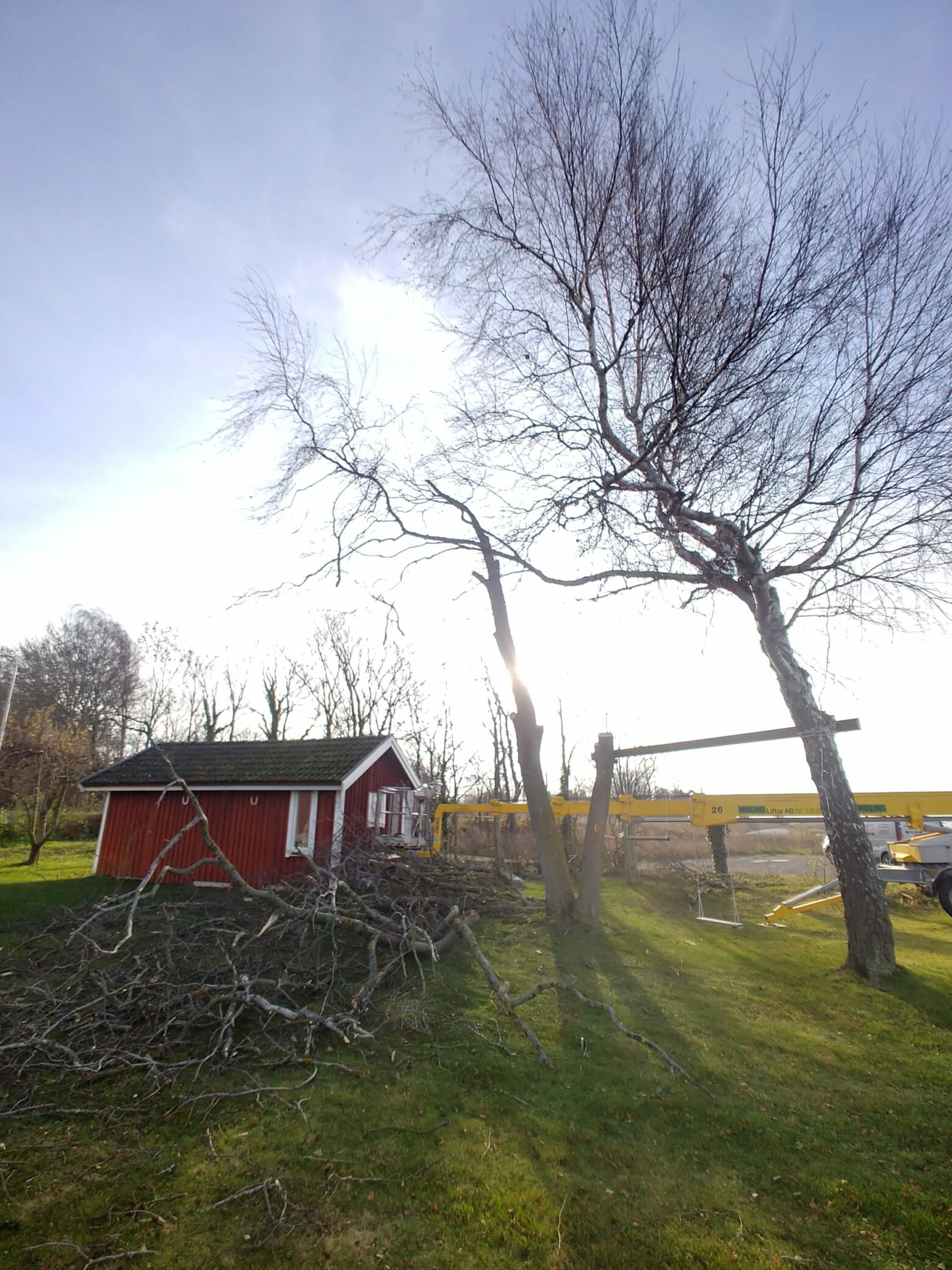 Kalmar Trädfällning hjälper dig fälla träd