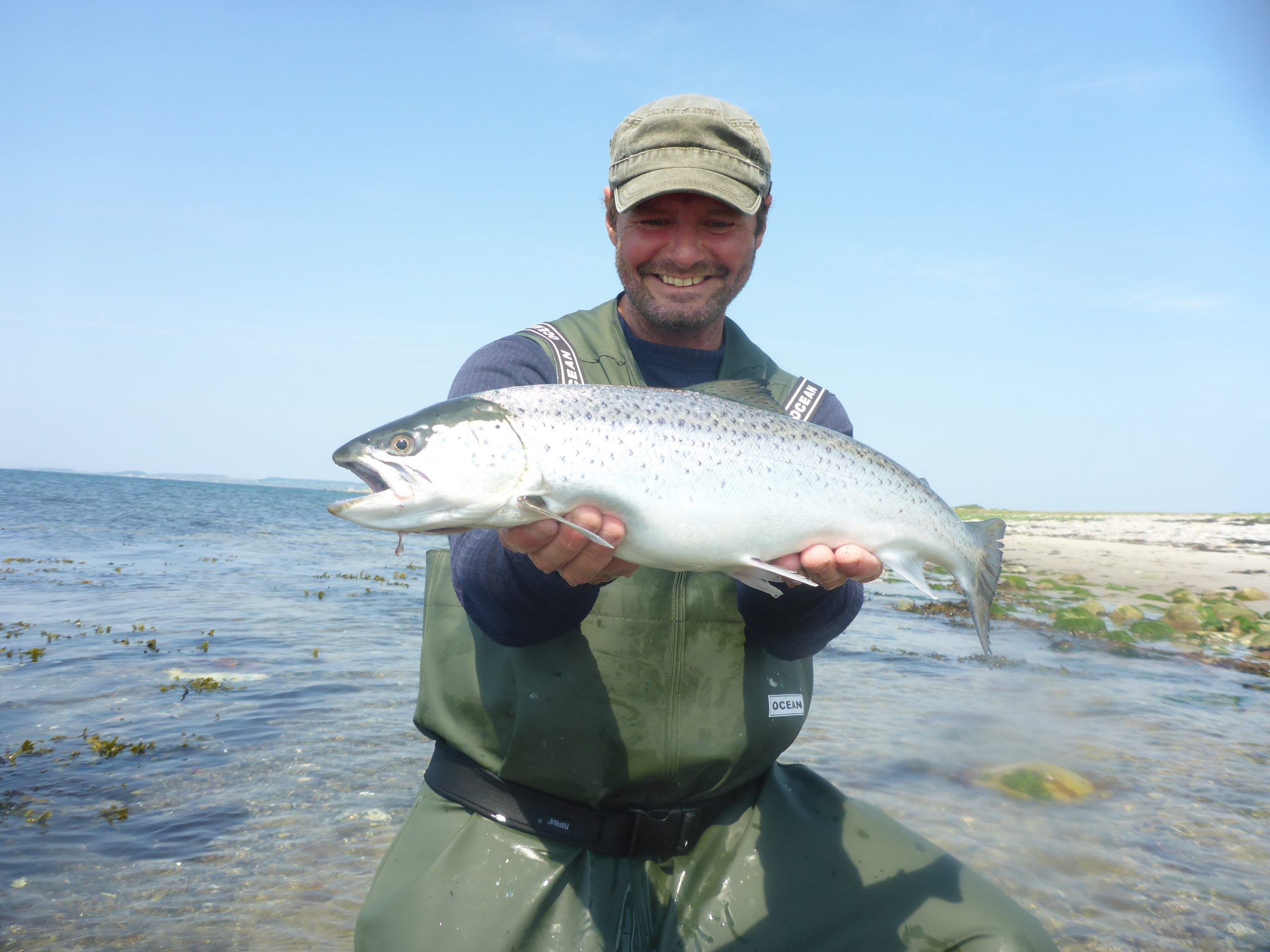 Kalundborg Fjords forudsigelige sommerørreder er mange og i høj grad til at få i tale.