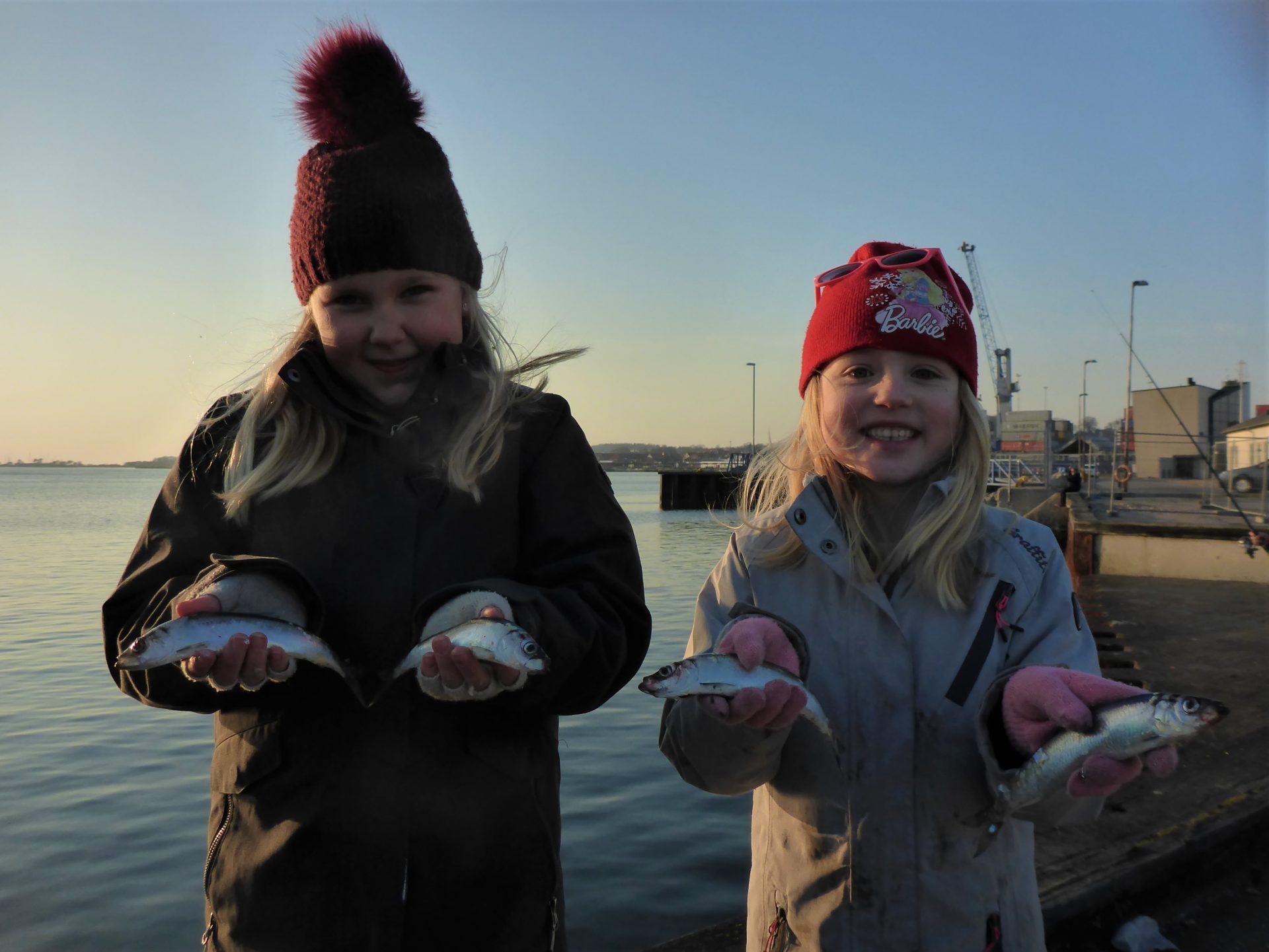 Sildefiskeri i Kalundborg Havn er for alle.