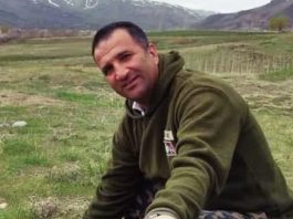 محمد نجفی