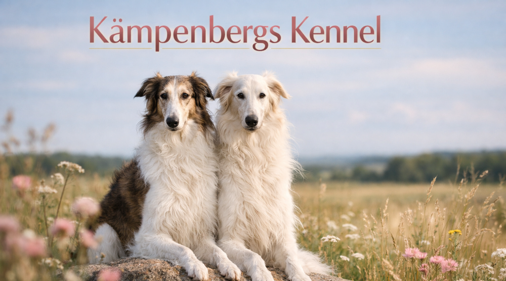 Kämbenbergs Kennel
