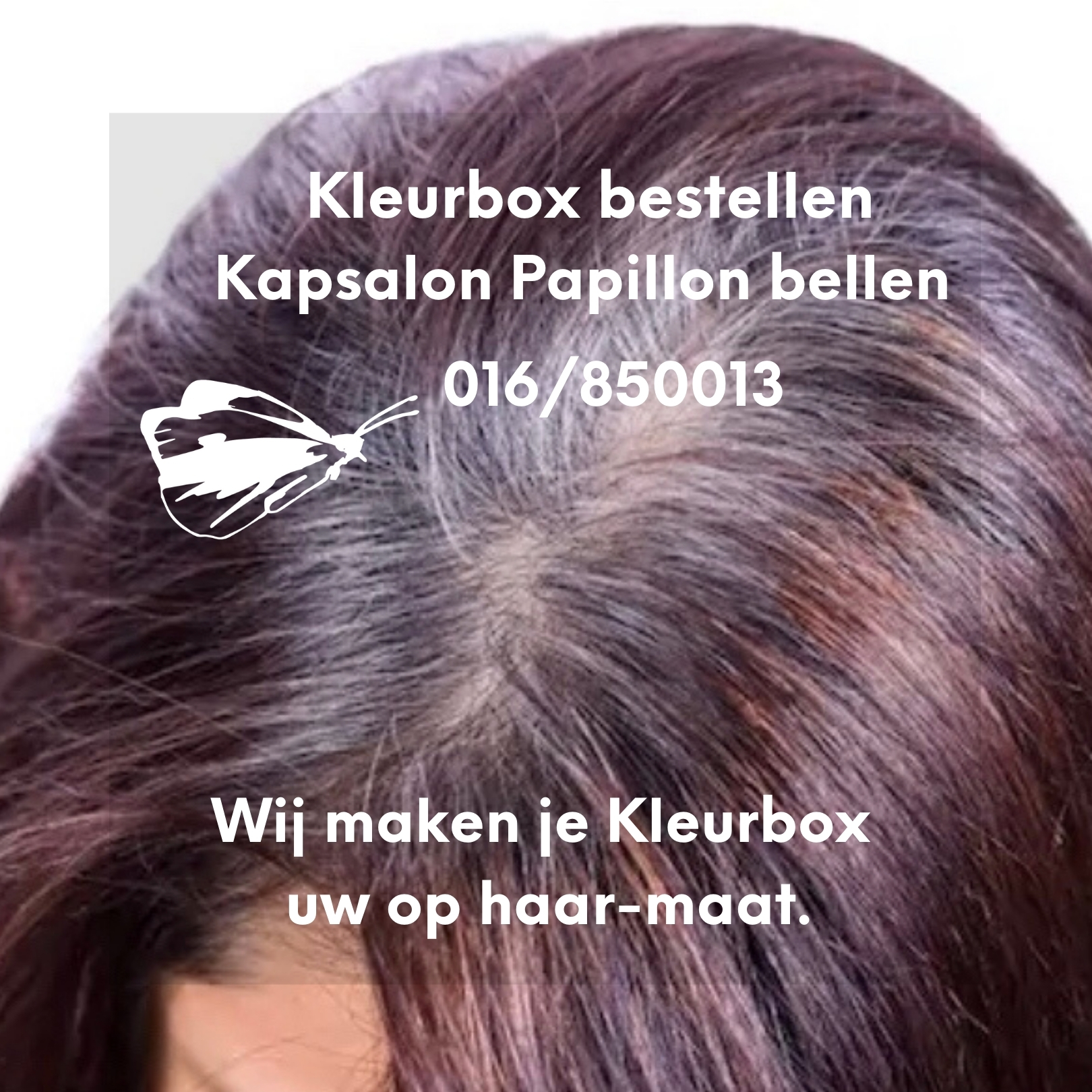 Kleurbox Op Uw Maat…