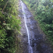 Ein hoher Wasserfall in Mitten von grüner Bewachsung