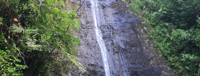 Ein hoher Wasserfall in Mitten von grüner Bewachsung