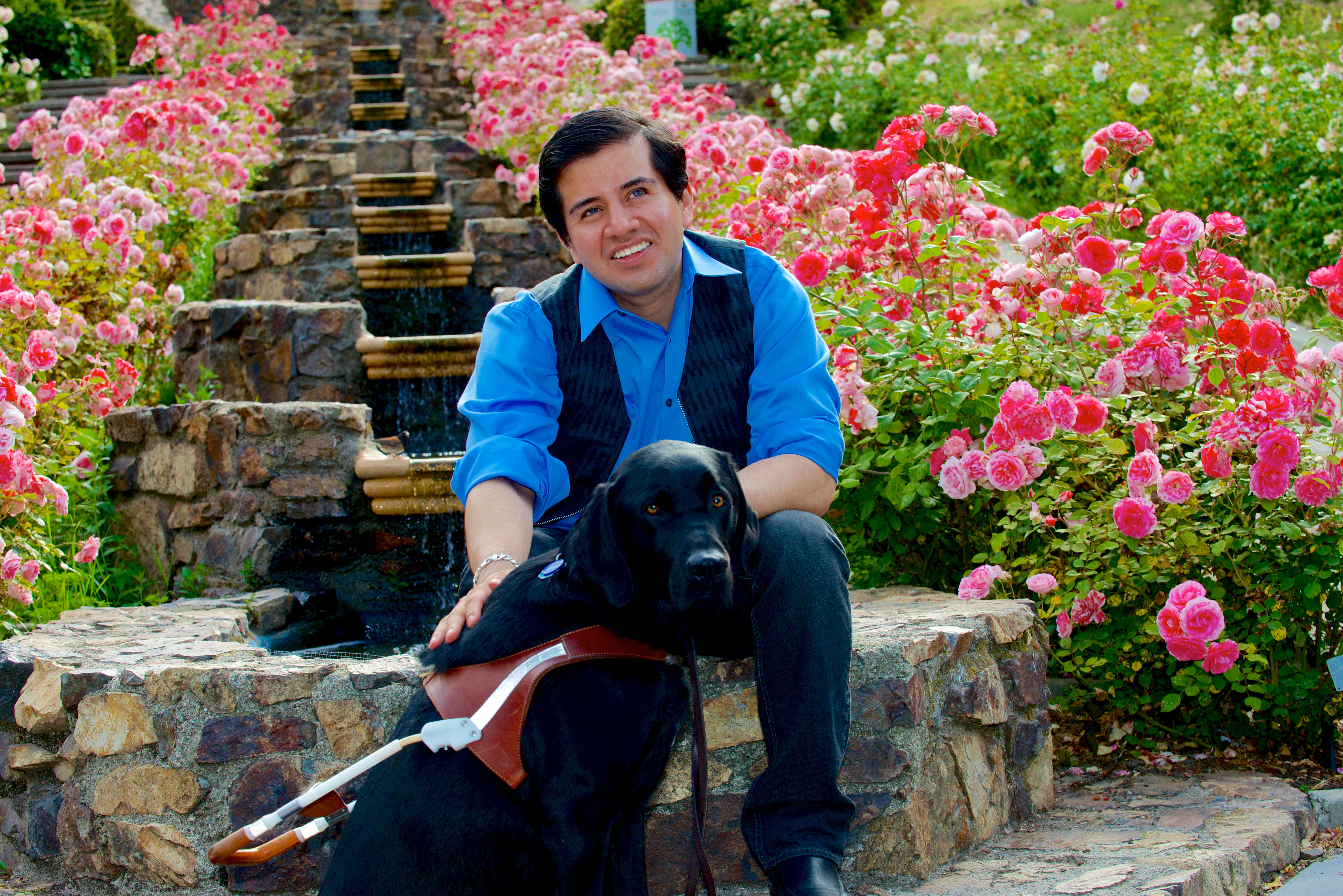 Belo Cipriani, a young man with black, short hair wears a blue shirt and black jeans and sits on stone steps in front of a sea of pink flowers. One hand lies on the back of his guide dog, a black labrador.