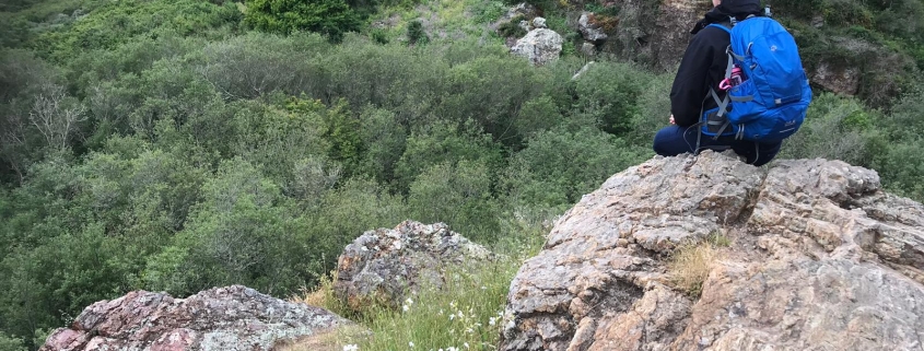 Eine Frau sitzt mit dem Rücken zur Kamera auf einem Felsvorsprung und schaut in einen Canyon, in dem Blumen blühen und viele grüne Bäume stehen. Die Frau trägt einen blauen Wanderrucksack.