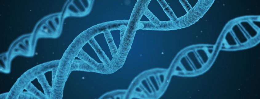 Ein Foto von mehreren DNA-Strängen