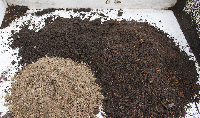 Til højre plantebaseret omsat kompost, til venstre sand, bagerst havejord.