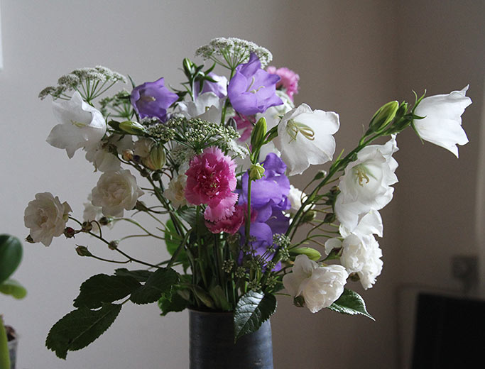 Fødseldagsbuket med små buketroser, nelliker, klokkeblomster og skvalderkål.