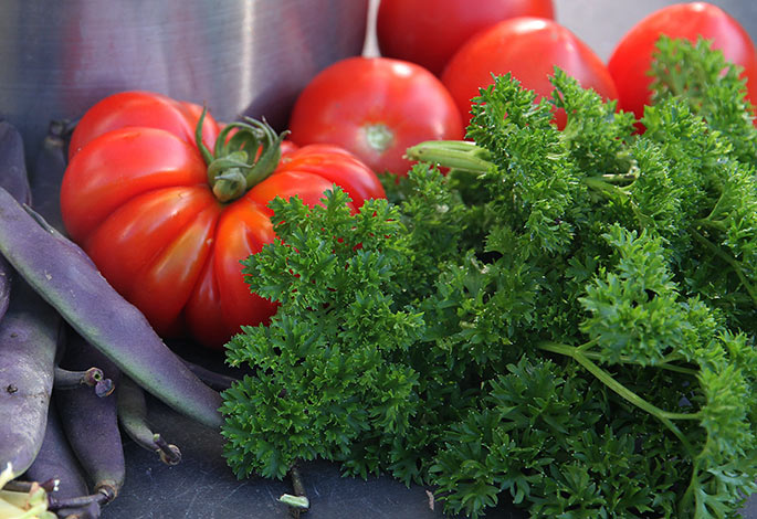 Costoluto Fiorentino tomaten sammen med persille - det er da smukt