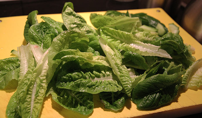 Allersidste portion Little Gem salat fra haven.