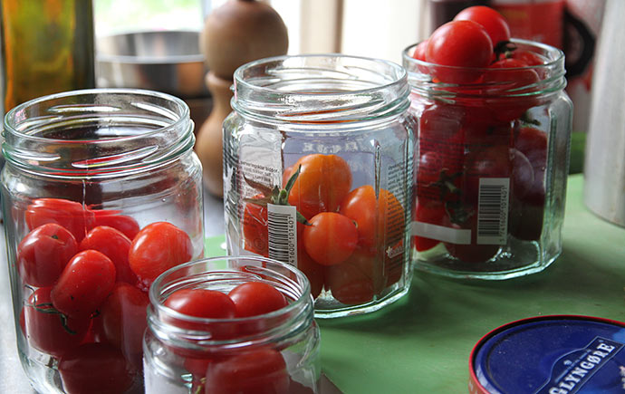Godt modne tomater fra de bedste planter er udvalgt til frø.
